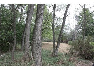Property photo 53 - 419 +/- Acres offered in 6 Tracts, Land Auction